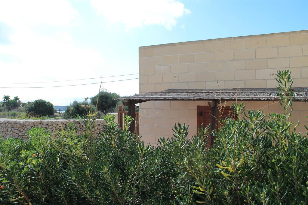 Case Canino Favignana Bagian luar foto